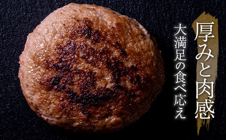 FKK19-396_【肥後あか牛入り】ハンバーグ100gｘ24個（2.4kg） 熊本県 嘉島町