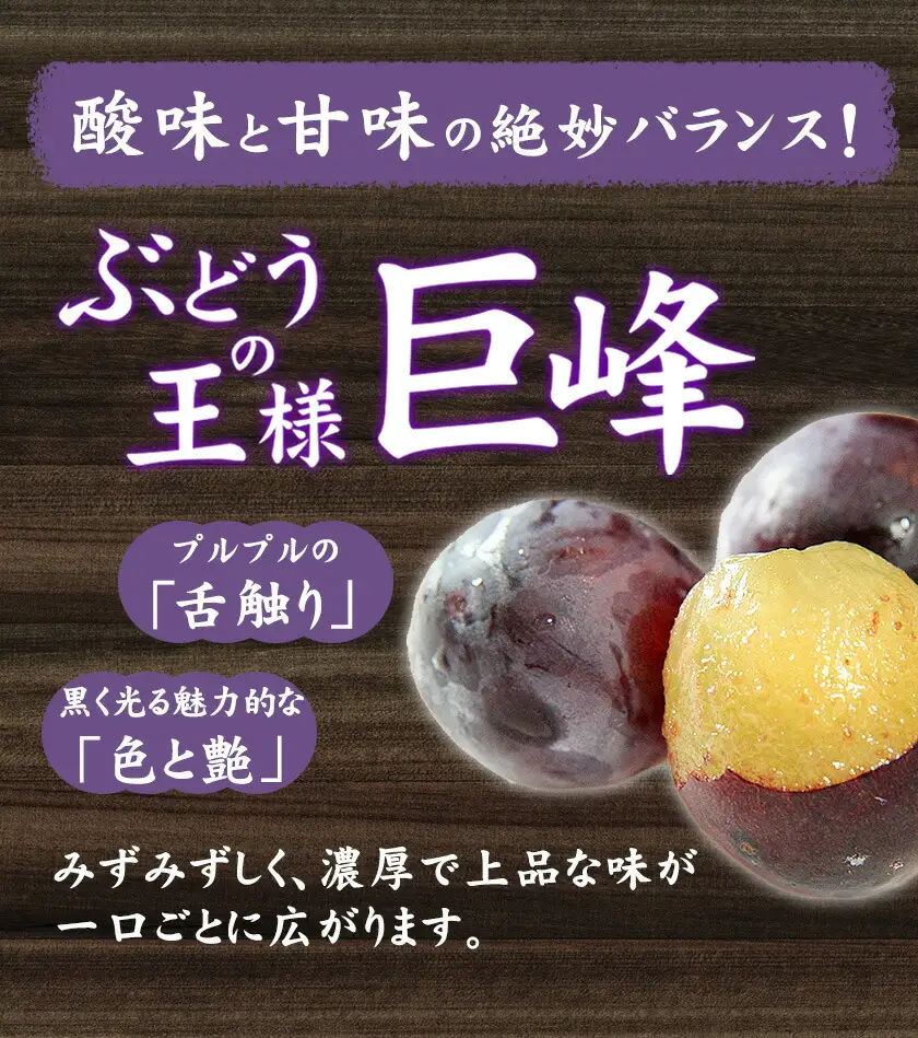 【先行予約】巨峰 ぶどう 2kg (約4〜5房)  受付 《8月中旬-9月下旬頃出荷》 フルーツ 種あり 巨峰