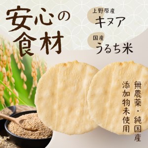 キヌアとお米のおせんべい6袋 おせんべい キヌア スーパーフード お米 無農薬 無添加 栄養満点 6袋 贈答 贈り物 プレゼント 送料無料 山梨県 上野原市