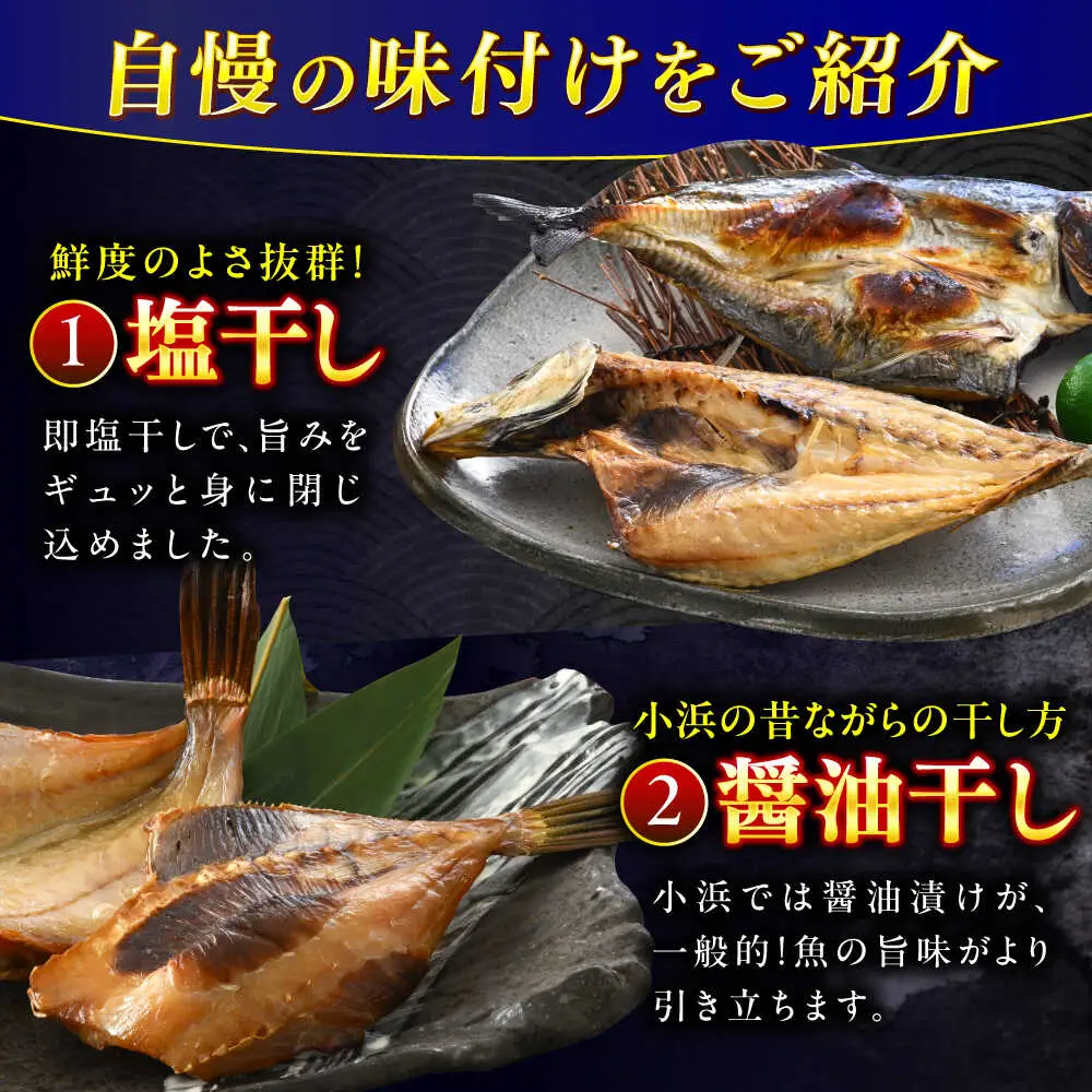 『定期便』全6回(隔月発送)【加福鮮魚】 季節の旬の魚をお届け！"生"干物厳選詰め合わせ 一夜干し 醤油干し 味噌漬け 塩干し 小浜市 / 加福鮮魚 【配送不可地域：北海道・沖縄・離島】 [BFBC013] 