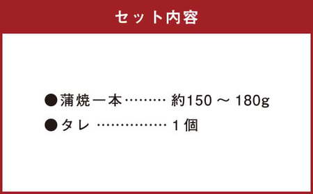鹿児島産 うなぎ の 蒲焼き 1本 約150～180g 老舗130年の味 鰻