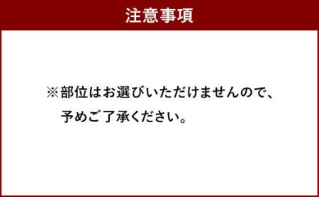 博多和牛 焼肉用 500g 牛肉 バラ ロース モモ