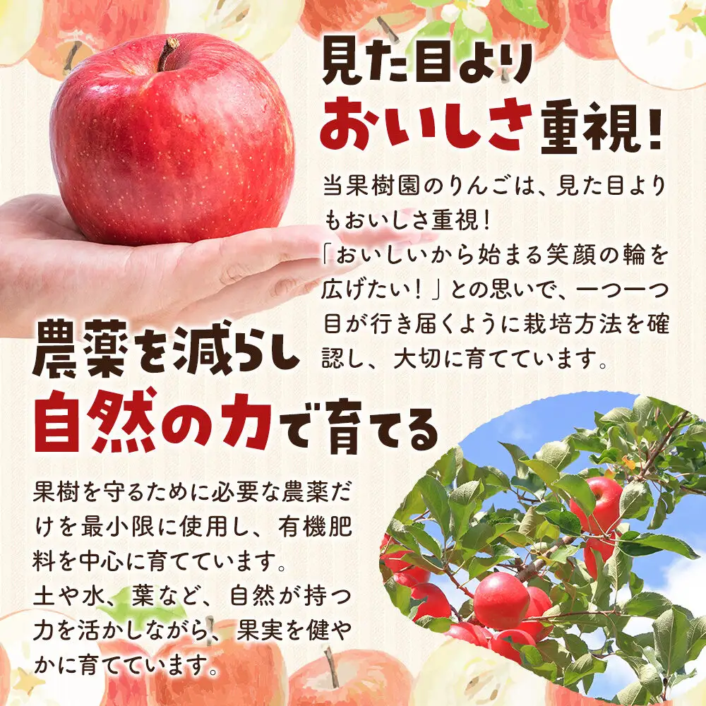 りんご サンふじ 約5kg 家庭用【11月下旬～発送】りんご