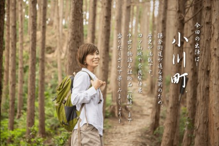 青山城 御城印 1枚 小川町指定史跡 旅 歴史 山城 城めぐり