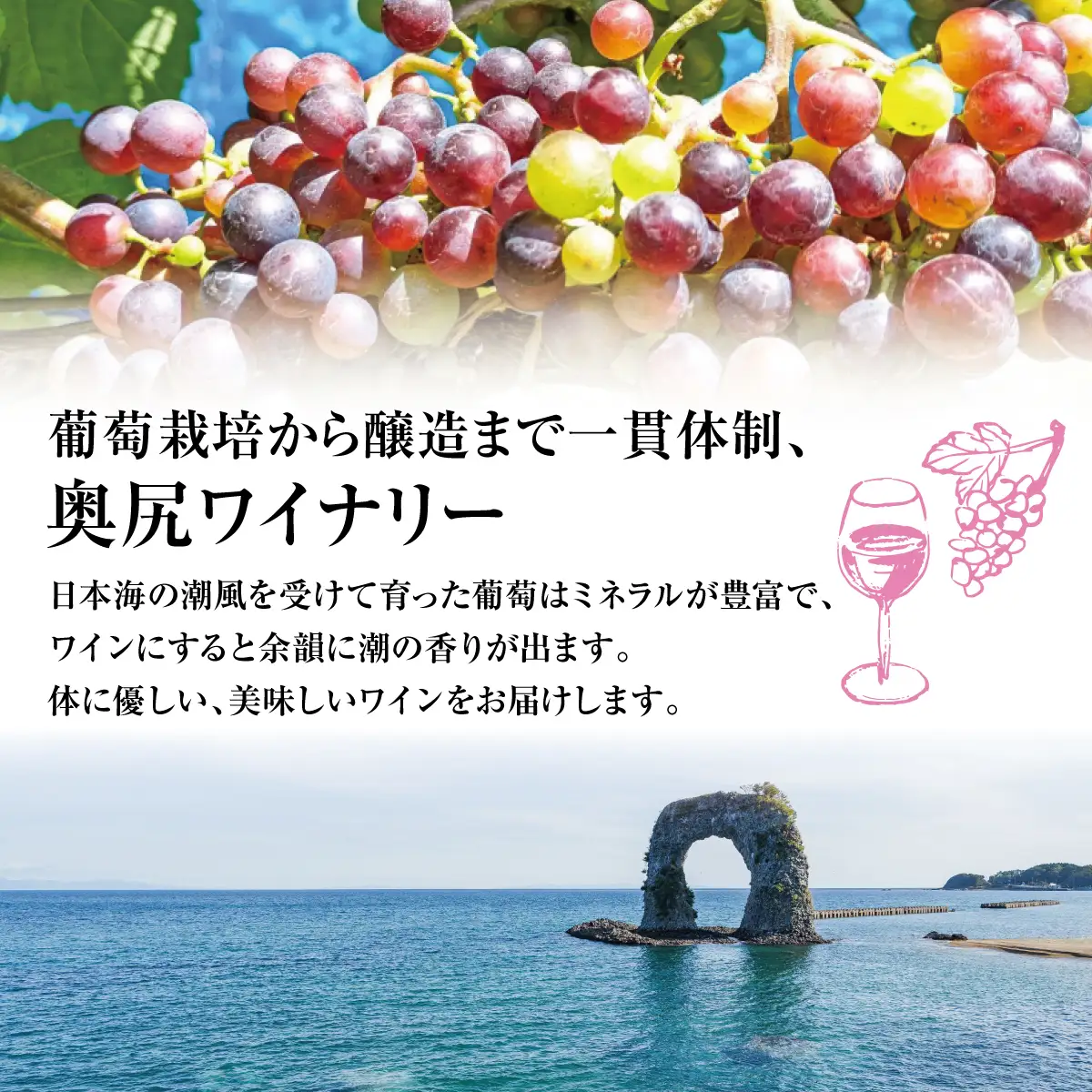 「奥尻ワイン」OKUSHIRI メルロー（赤）ワイン わいん 奥尻ワイン 赤ワイン メルロー 赤 アルコール | 北海道 奥尻町 送料無料