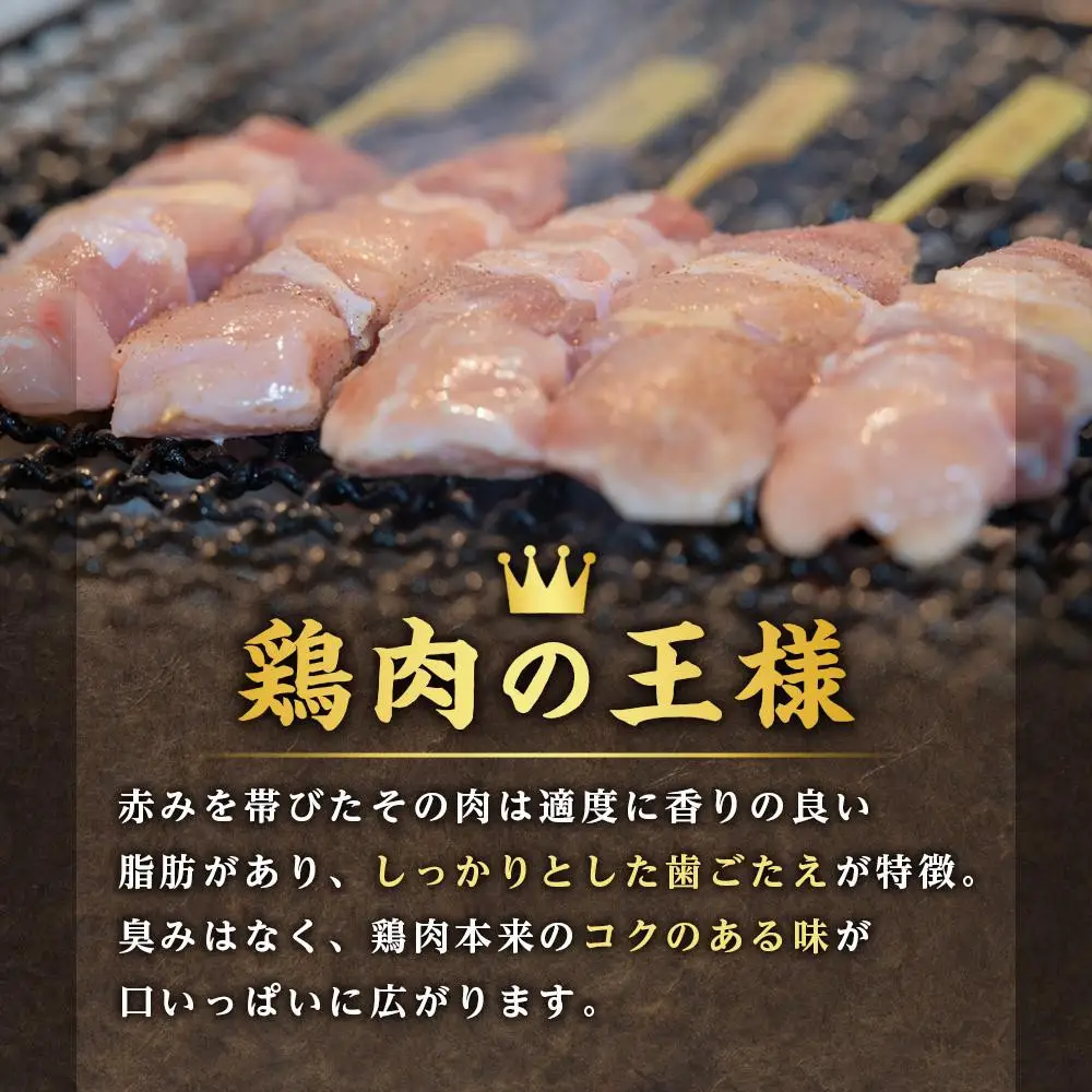 純系名古屋コーチン　焼き鳥バラエティーセット 焼き鳥 地鶏