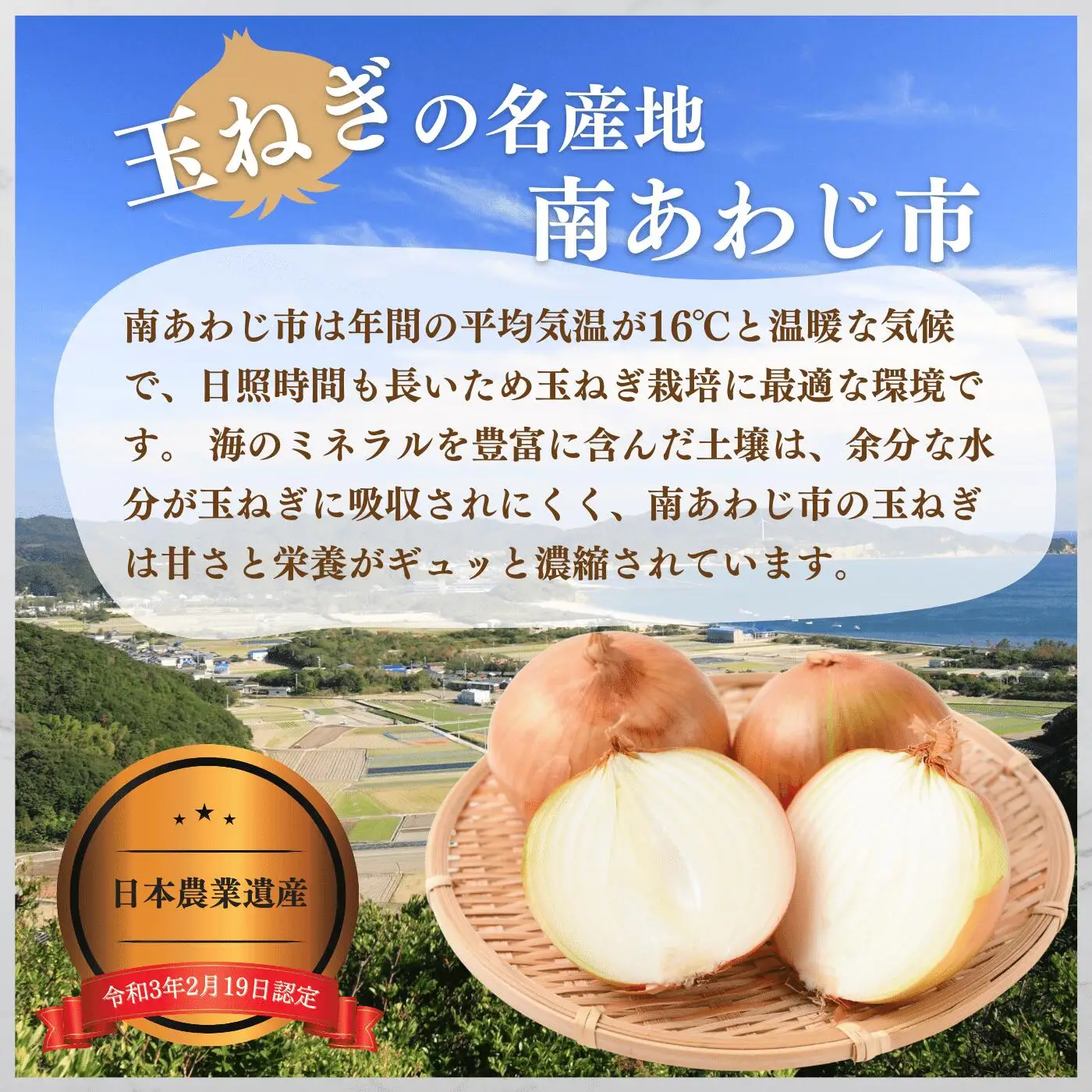 淡路島玉ねぎ（淡路玉三郎）3kg