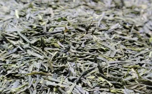 朝宮茶・あさみや茶スイーツ「抹茶葛餅」詰合せ (171476-40036838)