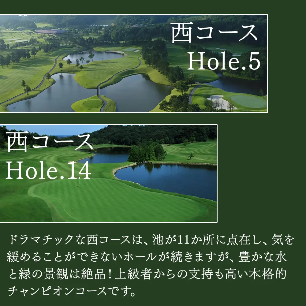 タラオカントリークラブ ゴルフ場 利用券 B 6,000円分 滋賀県 甲賀市 ゴルフ チケット (177688-40036853)