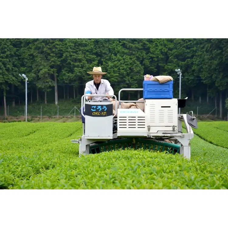 滋賀県産抹茶使用 泡立つ抹茶ラテ1kg【約66杯分】