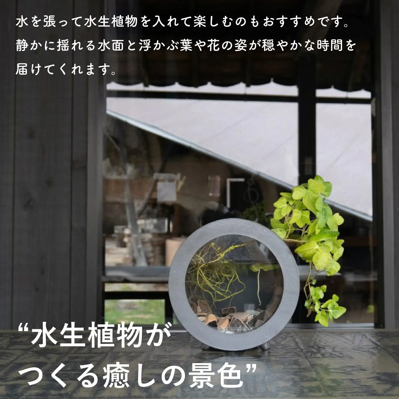 【信楽焼・明山】丸水槽・中（黒）aqua-01s (176777-40037144)