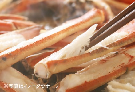 タグ付き越前せいこガニ（脚折れ） 5杯 （150～220g）　カニ 越前ガニ