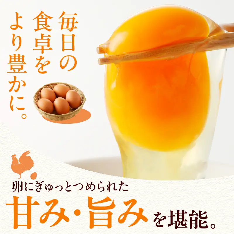 【12ヶ月定期便】”忍野の卵”コクの赤玉80個 卵