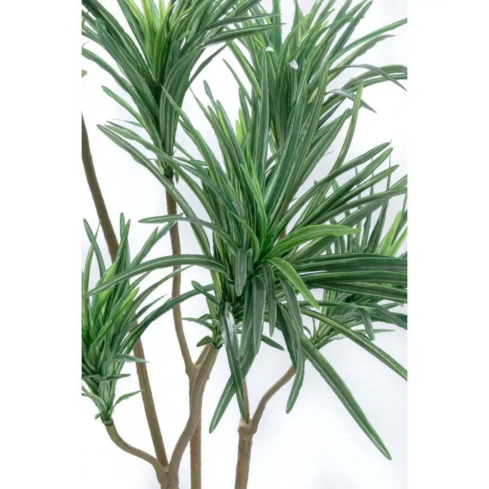 人工観葉植物　青年の樹ユッカ７本枝　白樹脂鉢Lサイズ付