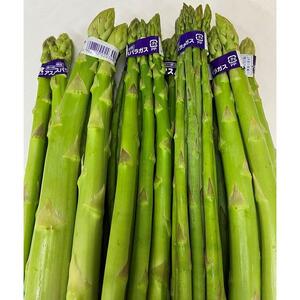グリーンアスパラ 約2kg ( 約1kg × 2箱 ) 3L ～ S サイズ混合｜アスパラガス