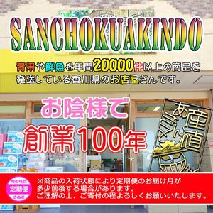 坂出産のフルーツとさぬきの特産品の定期便6回【Aコース】