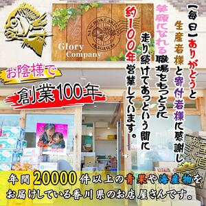 【ギフト用】[下処理あり]≪瀬戸内海産≫朝1番水揚げされた天然真鯛を直送致します。［大サイズ］