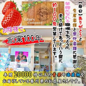 香川県オリジナル品種！さぬき姫いちご4パック