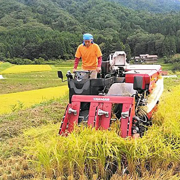【精米】 食べ比べ 6kg こしひかり つや姫 令和7年産 精米 白米 [ALBW001]