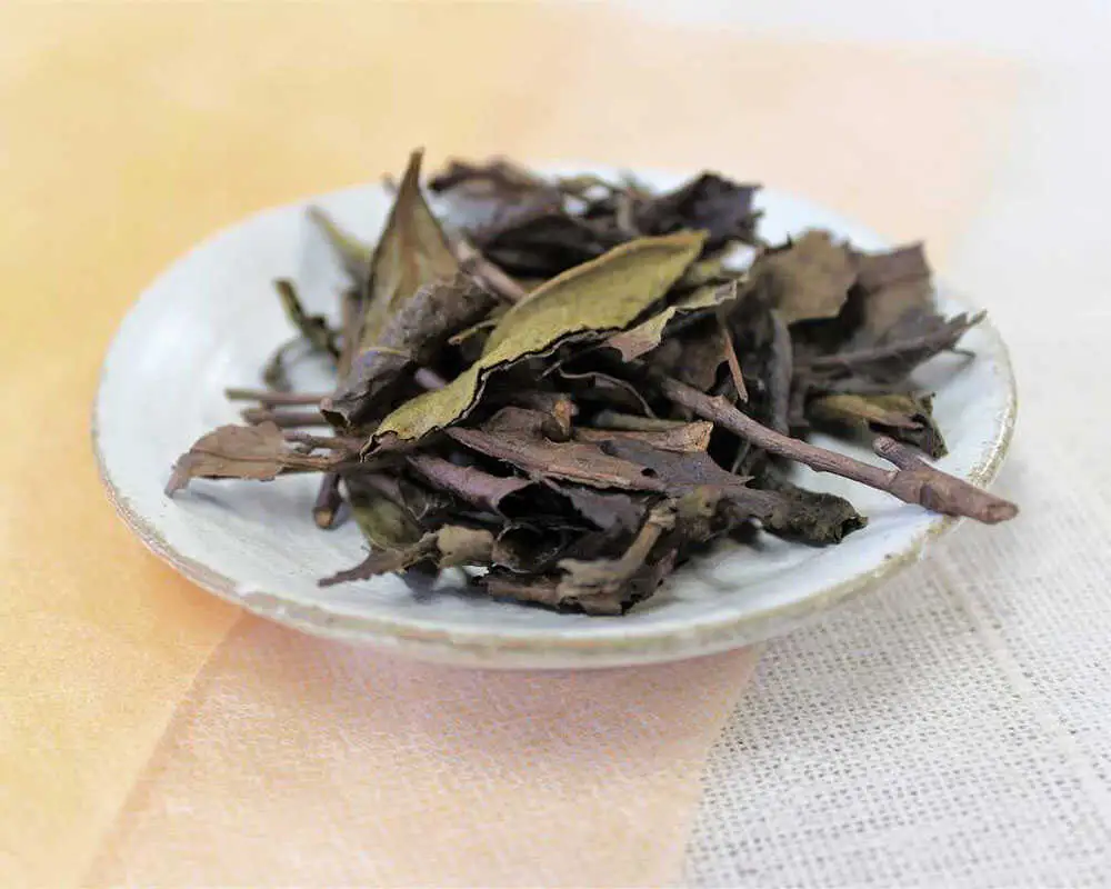 お茶 宝箱の有機三年番茶（3袋） 島根県松江市/有限会社宝箱[ALBI010] お茶 お茶