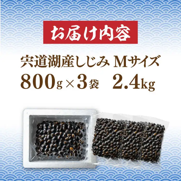 しじみ 宍道湖産 冷凍大和しじみ 砂抜き済 Mサイズ800g×3袋(2.4kg) 島根県松江市/しじみ市場株式会社[ALDK002] しじみ しじみ