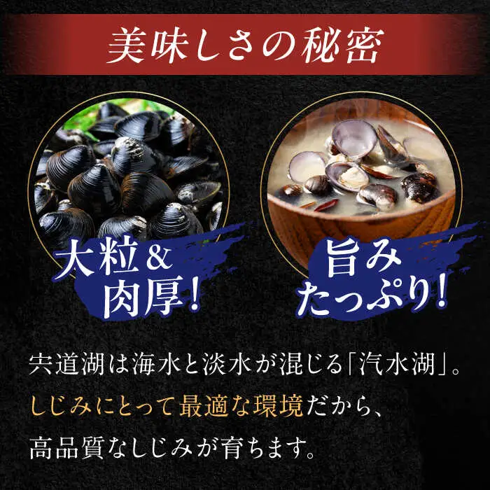 しじみ 宍道湖産 冷凍大和しじみ (M)500g×6袋 島根県松江市/平野缶詰有限会社[ALBZ002] 