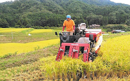 白米 松江産忌部地区･矢田地区の里山米「きぬむすめ白米10kg･つや姫白米10kgセット」 島根県松江市/有限会社原田米穀[ALBW005] 白米 白米