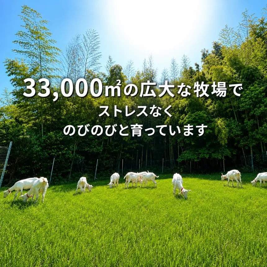 国産グラスフェッド【ペット用】ヤギミルク200ml×24本（愛知ヤギ農場産）