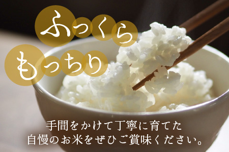 【令和5年産】福井県大野市産 コシヒカリ 白米 精米 10kg 農家直送