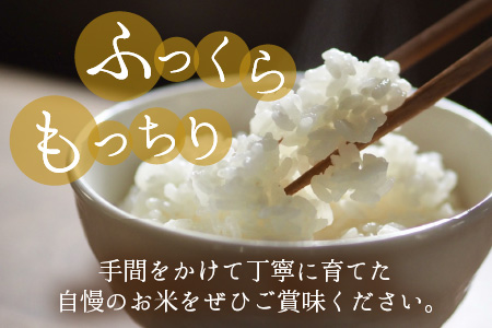 【令和5年産】【6ヶ月定期便】福井県大野市産 コシヒカリ 白米 精米 5kg 農家直送 [D-013001]