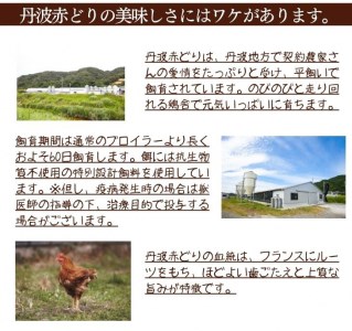 鶏肉 丹波赤どり手羽先 6kg 丹波山本 鶏肉 国産鶏肉 鶏肉 亀岡産鶏肉 訳あり鶏肉