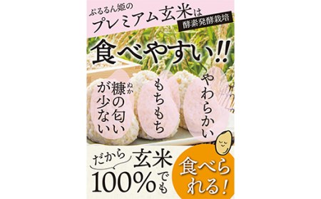 酵素発酵玄米 900g×2 F20E-812