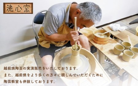  【越前焼】 洗心窯 手作りカップ＆ソーサー（皿付き）1客 　陶器 陶芸作家 【 コーヒーカップ セット】[e48-a002]