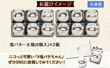 北海道 塩バター 大福 6個入り×2箱 12個 個包装 小分け 塩バタちゃん こしあん 和菓子 もち 餅 小麦不使用 ギフト プレゼント 冷凍 お菓子のふじい ニセコ スイーツ 