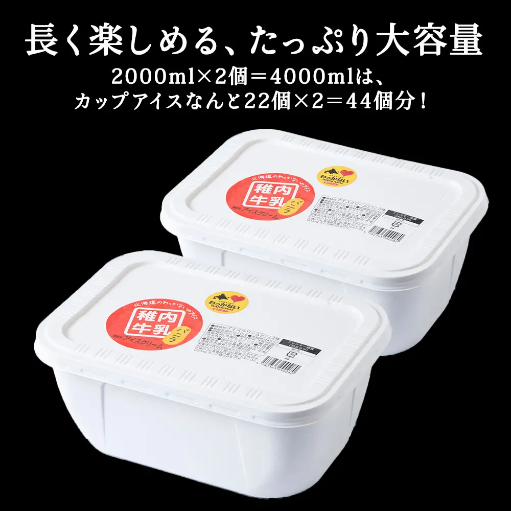 【業務用】稚内牛乳アイスクリーム2000mlバニラ×バニラ2個セット【配送不可地域：離島・沖縄県】