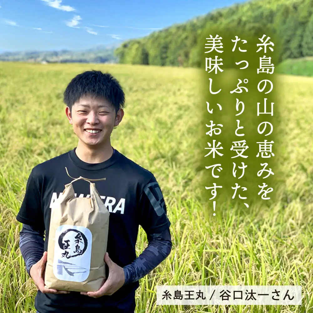 糸島産 夢つくし 10kg　糸島市 / 糸島王丸農園 ( 谷口汰一 ) /いとしまごころ [AAZ005]