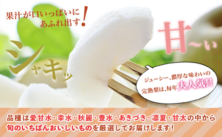 先行予約 目野果実直売所 荒尾梨 約2-2.5kg 旬の梨