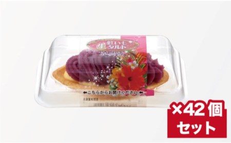 御菓子御殿の至極のスイーツ！なめらか食感の紅いも【生】タルト＜個包装42個入＞