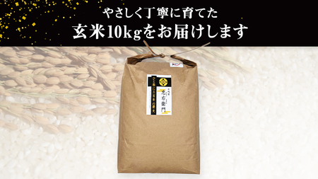 【 先行予約 】＜ 令和6年産 ＞ 三百年続く農家の有機特別栽培 コシヒカリ ( 玄米 10kg) 有機栽培 農創 米 こめ コメ ごはん ご飯 玄米 国産 茨城県産 おいしい 新生活 プレゼント 新生活応援 必要なもの 便利 おすすめ 消耗品 一人暮らし 二人暮らし 必要