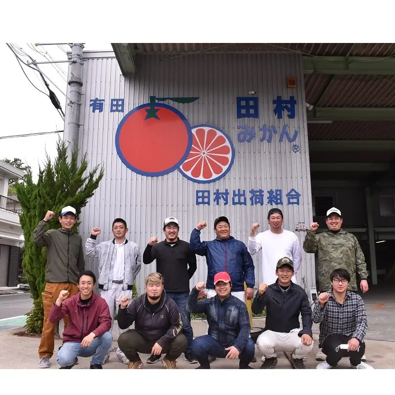【2026年先行予約】「高級 田村みかん」青秀 約3kg Sサイズ 和歌山県有田産 有田みかん_U6238n