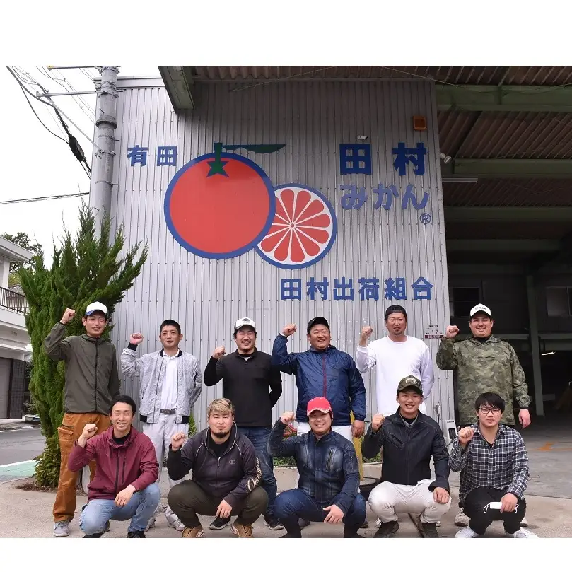 【2026年先行予約】「高級 田村みかん」 青秀 約3kg Lサイズ 和歌山県有田産 有田みかん_U6240n