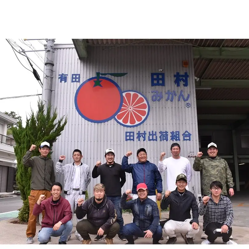 【2026年先行予約】「高級 田村みかん」 青秀 約5kg Sサイズ 和歌山県有田産 有田みかん_U6241n