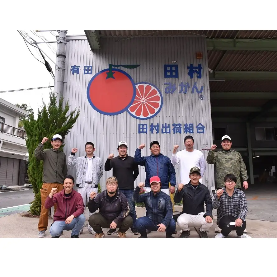 【2026年先行予約】「高級 田村みかん」 青秀 約5kg Mサイズ 和歌山県有田産 有田みかん_U6242n