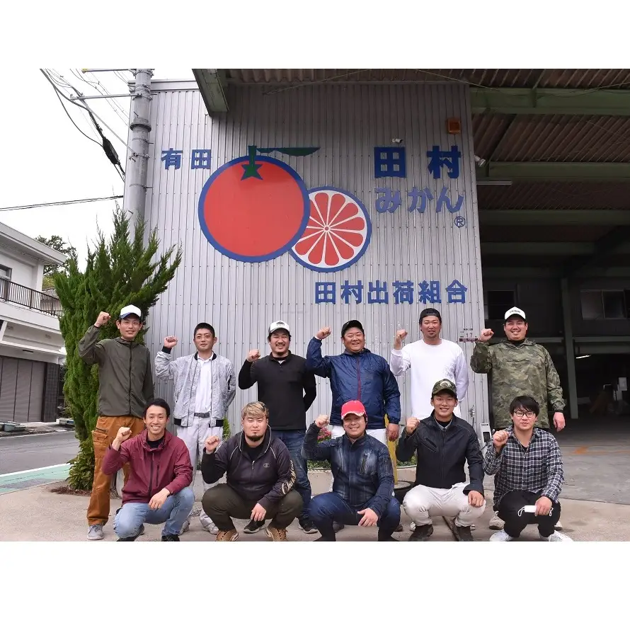 【2026年先行予約】「高級 田村みかん」 青秀 約5kg Lサイズ 和歌山県有田産 有田みかん_U6243n
