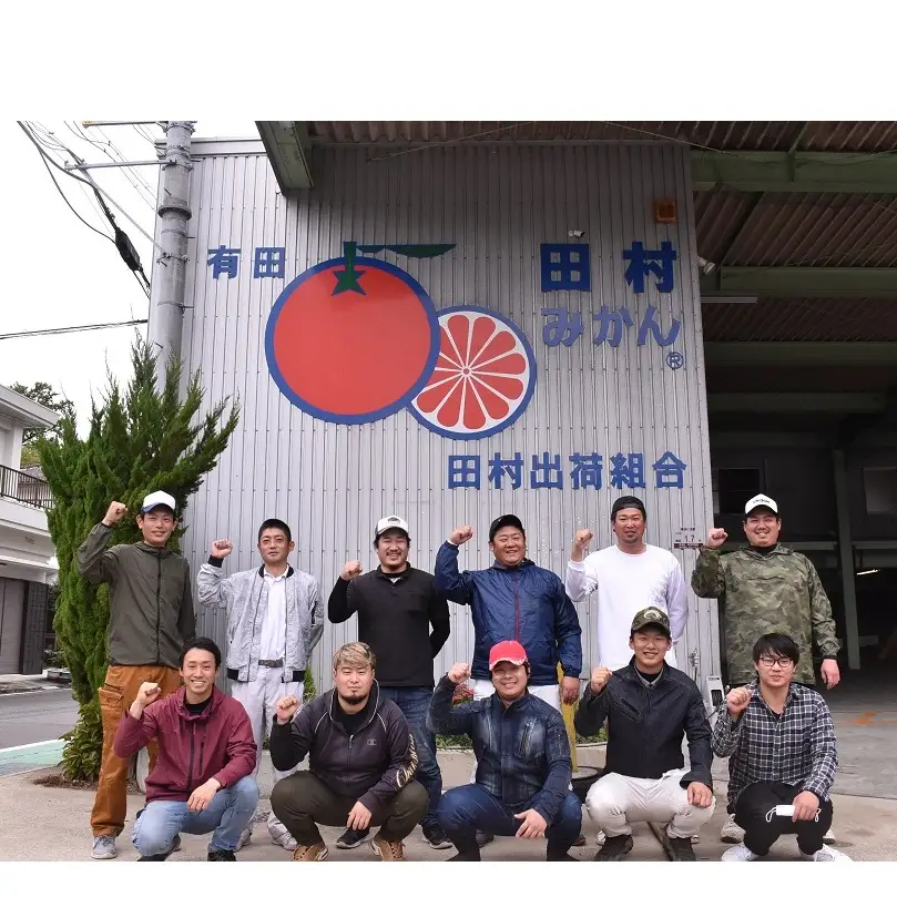 【2026年先行予約】「高級 田村みかん」 青秀 約10kg Sサイズ 和歌山県有田産 有田みかん_U6244