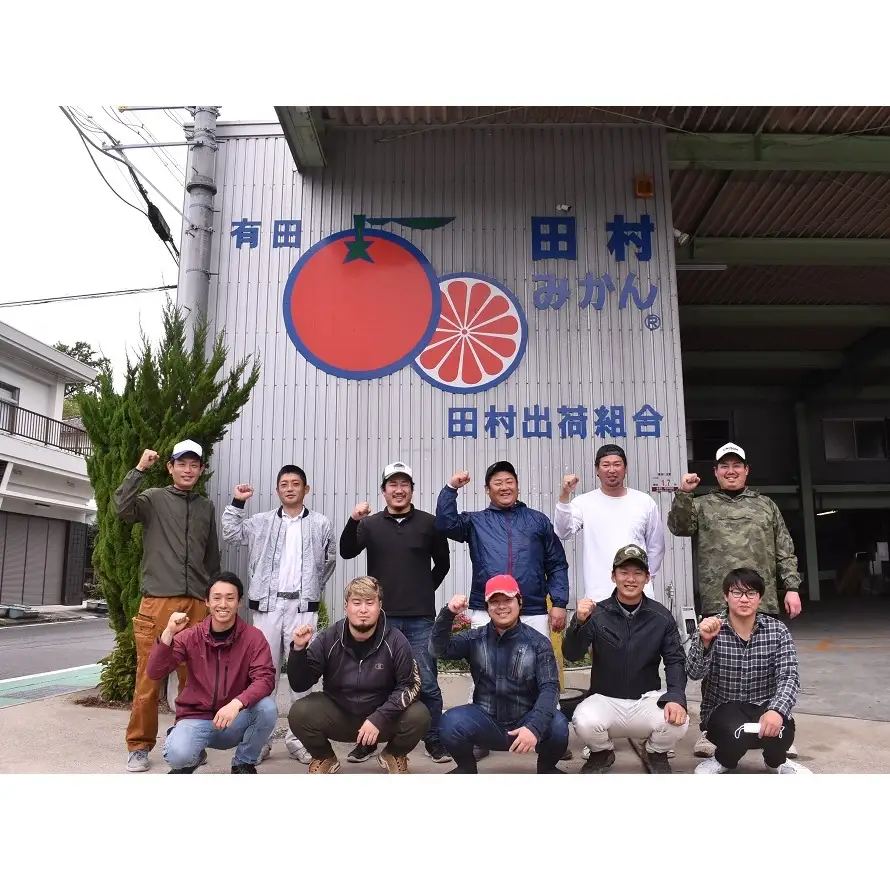 【2026年先行予約】「高級 田村みかん」 青秀 約10kg Mサイズ 和歌山県有田産 有田みかん_U6245