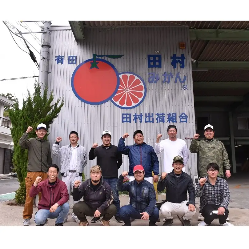 【2026年先行予約】「高級 田村みかん」 青秀 約10kg Lサイズ 和歌山県有田産 有田みかん_U6246
