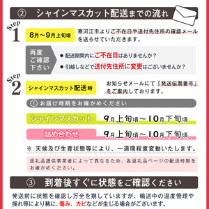 令和8年産 先行予約 ＜厳選＞シャインマスカット 600g 以上（1房）山形県産【2026年9月上旬頃～10月上旬頃発送予定】※配送不可 沖縄・離島　010-B-AF009