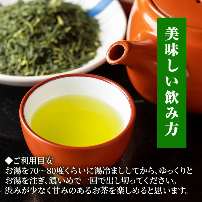 緑茶 9袋 粉末緑茶 2袋 セット 緑茶【00-035-03】