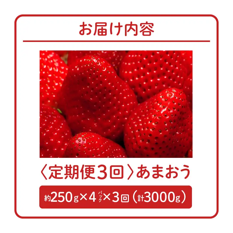 【2027年1月以降お届け】あまおう 約250g 4パック×3回 計12パック【定期便 3回】_ いちご 果物 フルーツ〔Fi301〕